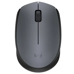 Logitech M170