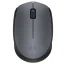 Logitech M170